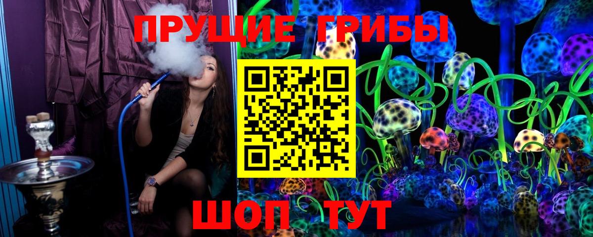 Псилоцибиновые грибы ЛСД Бугуруслан