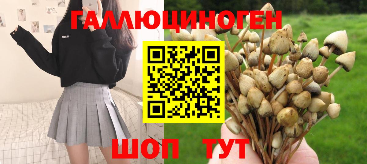 Бугуруслан  Псилоцибиновые грибы мухоморы  Галлюциногенные грибы GOLDEN TEACHER  Вход с VPN 