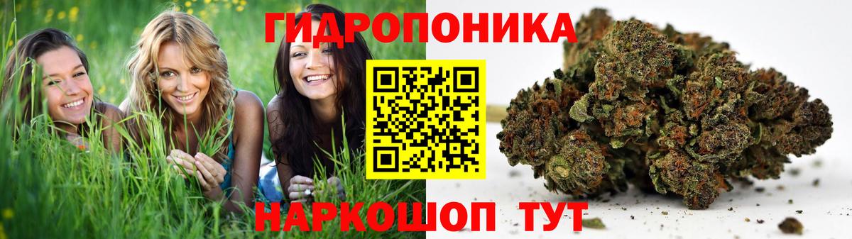 Бугуруслан  Канабис сатива  Бошки Шишки AK-47  Вход с VPN 